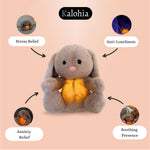 Load image into Gallery viewer, Family Pack – Your Soothing Companions for Inner Peace
